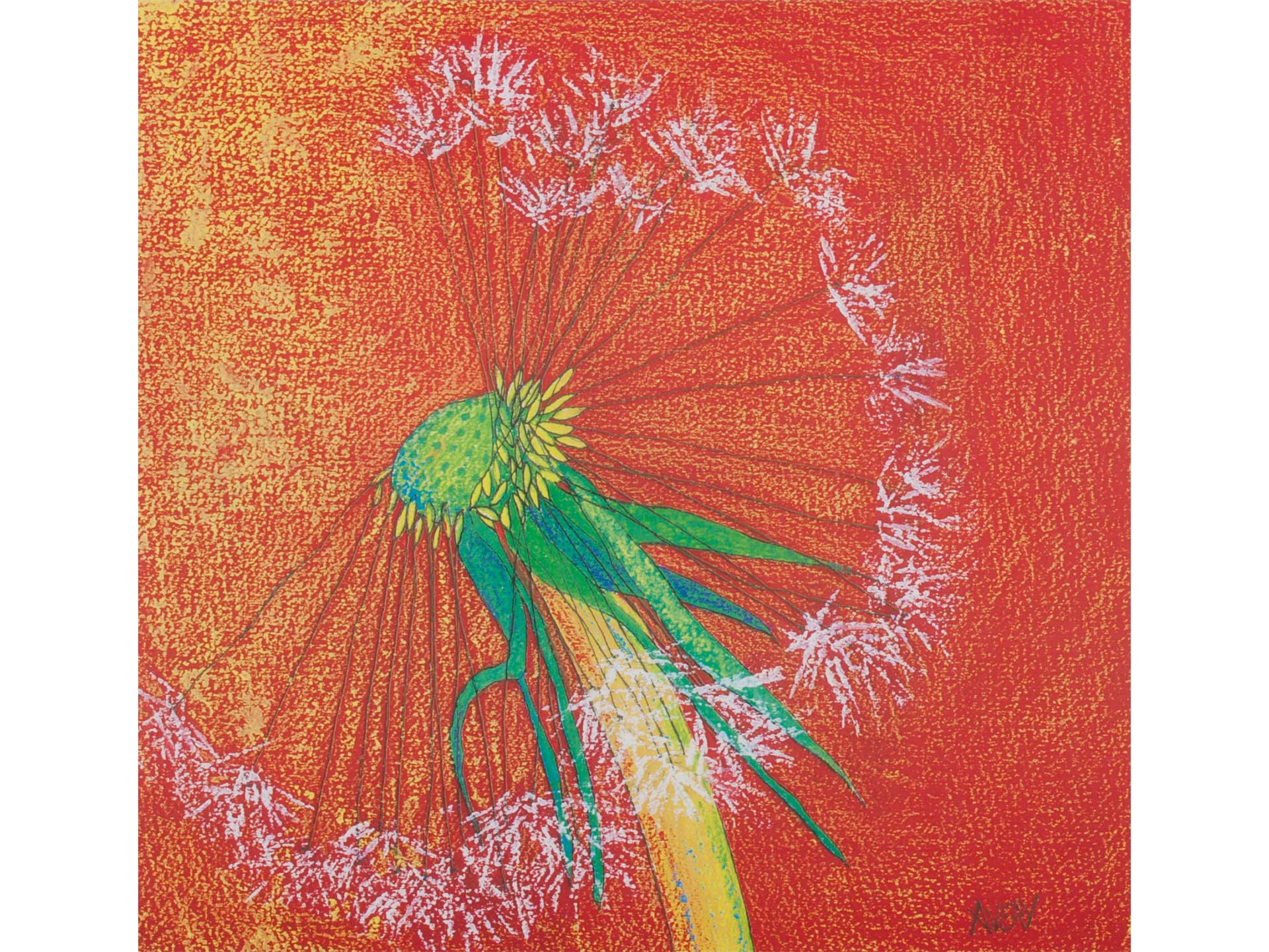 Lauren Avery Hutton | Dandelion Clock 2, orange, watercolor, 12x12, 2003